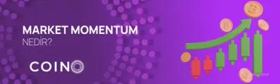 Market Momentum Nedir?